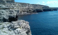 IMG-20150716-WA0009.webp