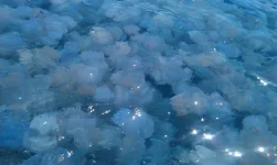 IMG-20150716-WA0006.webp