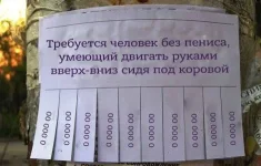 5832704.webp