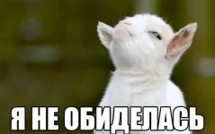 podborkr.webp