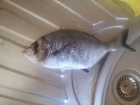 20150714_1144031.webp