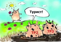 11754259_413036428868508_598570516569268687_n.webp