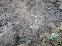 20150717_091154_thumb.webp