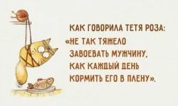 preview-650x390-650-1437736705.webp
