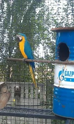 IMG-20150724-WA0006.webp