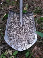 20150724_132243_thumb.webp