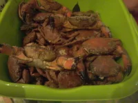 20150801_234850.webp