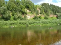 x_bb31df0a.webp
