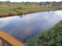 x_cb64f16d.webp