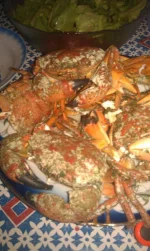 IMG-20150803-WA0007.webp