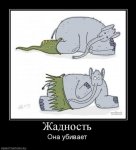 s3img_86397327_310_1.jpg