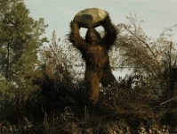 bigfoot-legend-or-truth11.webp