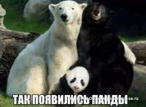 Ycx6-fkBcAI-Д.webp