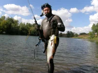 7169564.webp