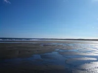 2015828131035.webp