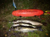 rps20150911_004520.webp