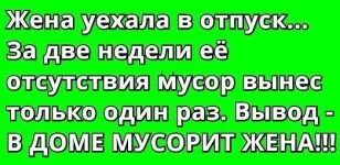 12046634_892313237491168_6783584053562927649_n.webp