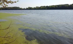 20150918_104230.webp