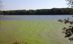 20150918_125045.webp