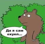 1437473167122039940.webp