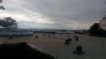 IMG_20151002_050322.jpg