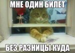 FB_IMG_1443797506167.jpg