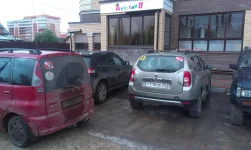 IMAG1107.webp