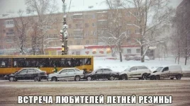 1444369215_01.webp