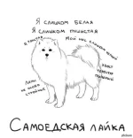 FB_IMG_1444565806616.webp