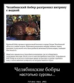 11201849_494116600764514_932389961989075946_n.webp