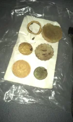 IMAG1150.webp