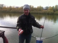 image.webp