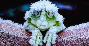3266760-650-1445953985PREV.webp