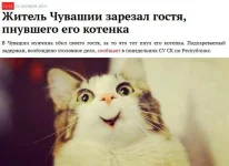 354545rr.webp