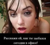 6488713.webp