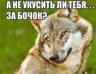 11220899_1039693102729953_5549949469884513967_n.webp
