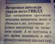 podborka_avtoprikolov_28.webp