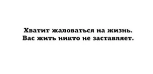 12208326_1699028896982523_4548321058563379398_n.webp