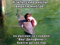 foto.webp