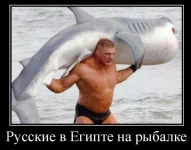 post-5182-0-17969000-1414997873.webp