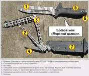 53692101_morskoy_dyavol__NOKS.webp
