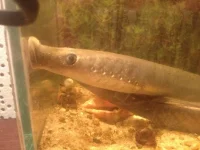 Сентябрь 20115 002.webp