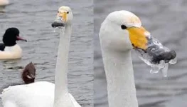 6756229.webp