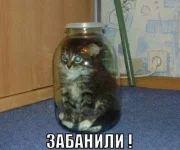 5628239.webp