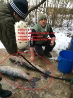 959d67dd5765.webp