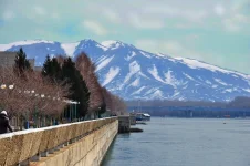 image (3).webp
