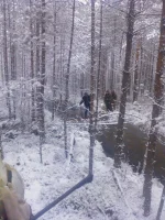 WP_001509.webp
