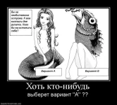 12369032_453456491506395_7048489981119122512_n.webp