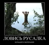 0.webp