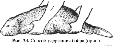 1450167525-6a01938318c39c085b5458dc200130b3.webp